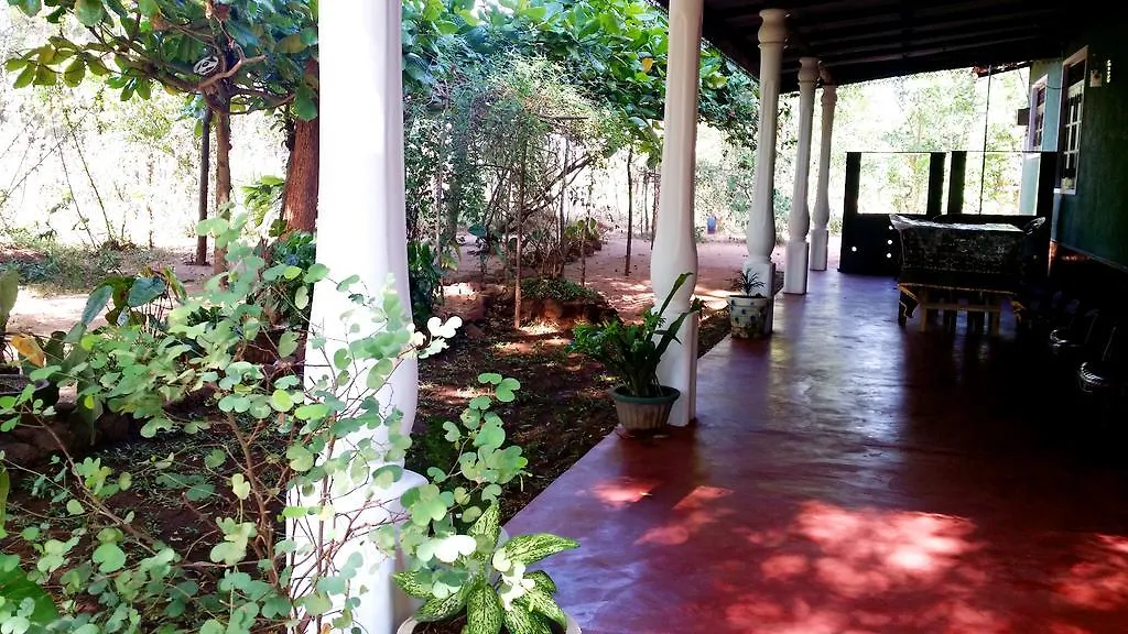 Nethmi Homestay Sigiriya
