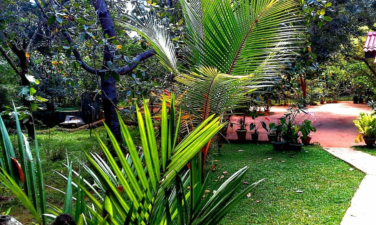 Nethmi Homestay Sigiriya